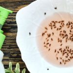 7 Cara Membasmi Lalat Buah dari Rumah Halaman all - Kompas.com