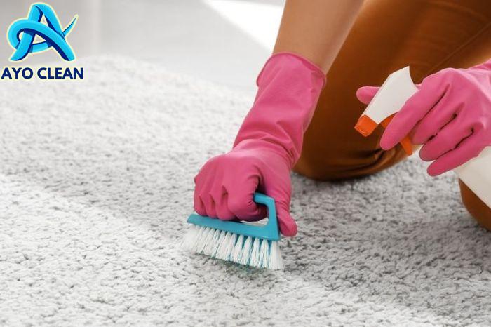 Carpetshop Blog | Cara Membersihkan Karpet dengan Vacuum Cleaner Tanpa ...