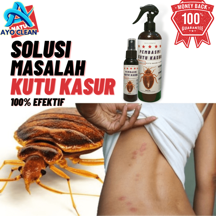 [ TERAMPUH ] Obat Pembasmi Kutu Kasur Kutu Busuk Ampuh / Obat Spray ...
