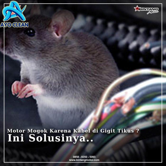 Motor mogok karena kabel di gigit tikus? ini solusinya - Honda Bintang ...