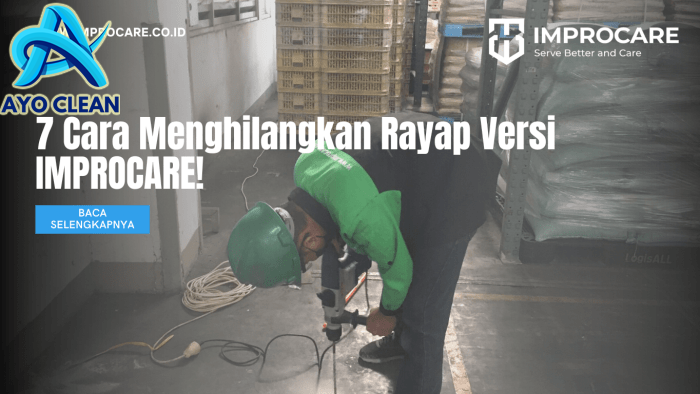 7 Cara Menghilangkan Rayap Versi IMPROCARE! - PT Mahaka Improcare Indonesia