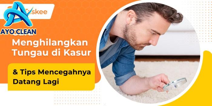 5 Cara Menghilangkan Tungau di Kasur, Efektif dan Mudah! – bTaskee