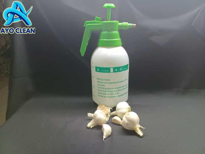 Cara Alami Membasmi Hama dan Penyakit Tanaman, Cukup Pakai Bawang Putih