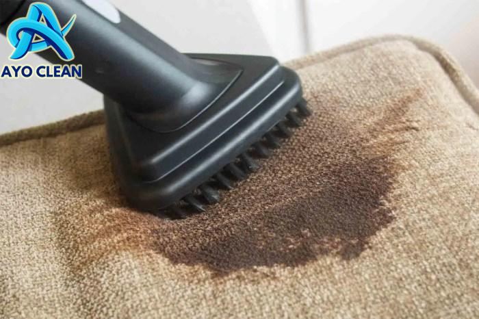 How to Remove Sofa Stains: Expert Tips from Sydney Cleaners? - Pro Sofa ...