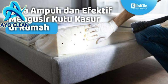 Cara Ampuh dan Efektif Mengusir Kutu Kasur di Rumah - KlinKlin