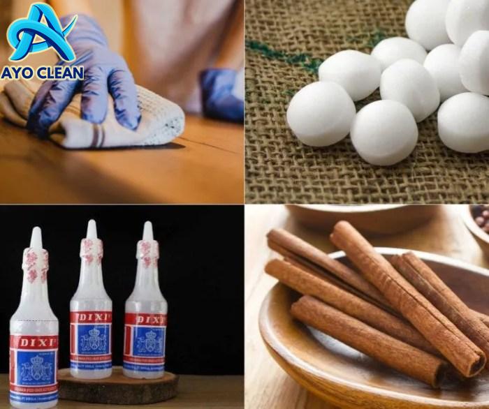 Bagaimana Cara Menghilangkan Semut di Rumah? Ikuti Tips dan Metode ...