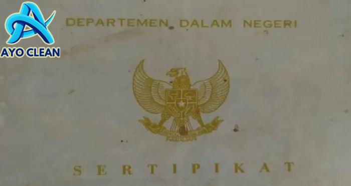 Cara mengurus sertifikat tanah yang rusak dimakan rayap