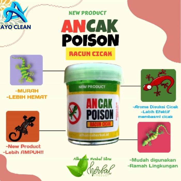 Cara racun cicak