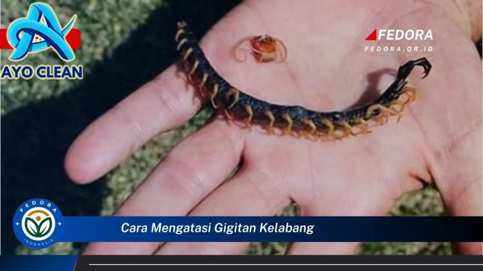 Ketahui Cara Mengatasi Gigitan Kelabang dengan Cepat dan Efektif