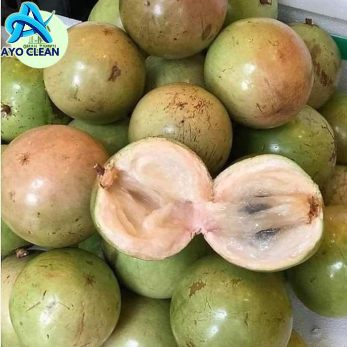 Jual Buah Bintaro Segar Pengusir Tikus (2 Buah) | Shopee Indonesia