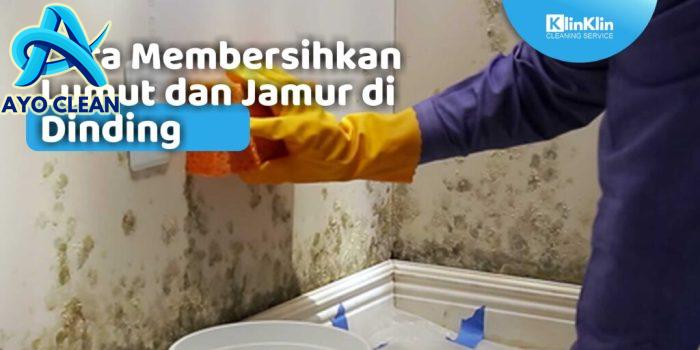 Cara Membersihkan Lumut dan Jamur di Dinding - KlinKlin