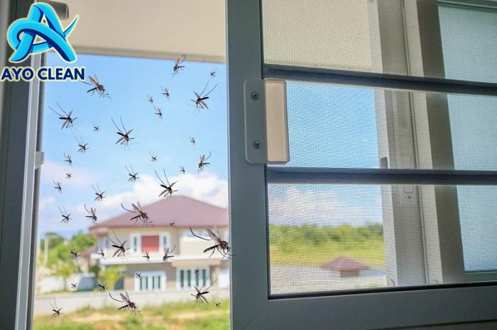 Cara membasmi nyamuk di kamar