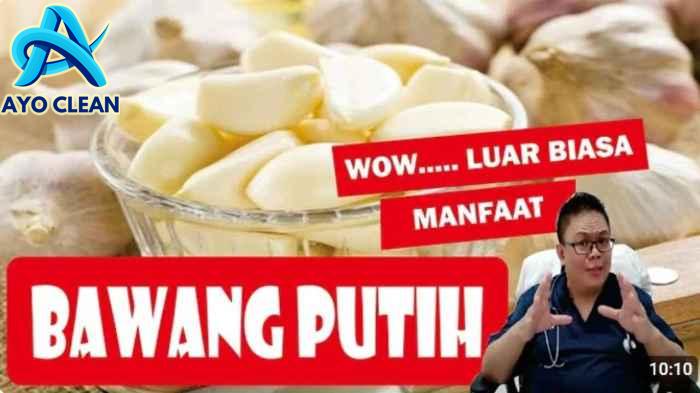 Cara mengusir lalat dengan bawang putih