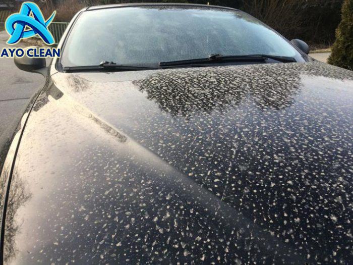 Any idea what these stains are or tips for cleaning off car? : r ...