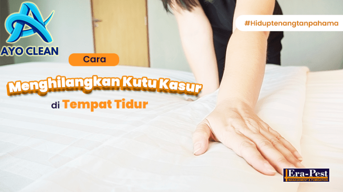 Cara Menghilangkan Kutu Kasur Paling Ampuh - Menghilangkan Masalah
