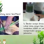 Cara membuat spray anti nyamuk dari serai