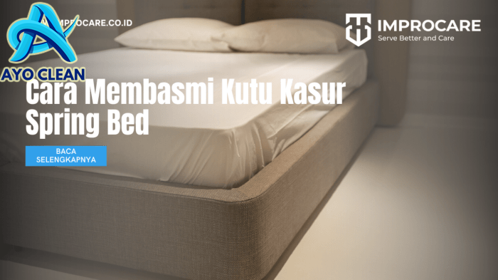 Cara memBasmi KUTU BUSUK/TINGGI/KEPINDING/KUTU KASUR , JAMINAN BERHASIL ... Cara memBasmi KUTU BUSUK/TINGGI/KEPINDING/KUTU KASUR , JAMINAN BERHASIL ...