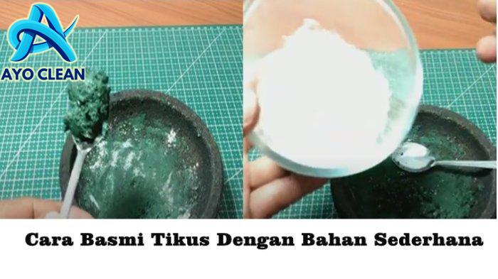 11 Cara Mengusir Tikus yang Membandel di Rumah - Lifestyle Katadata.co.id