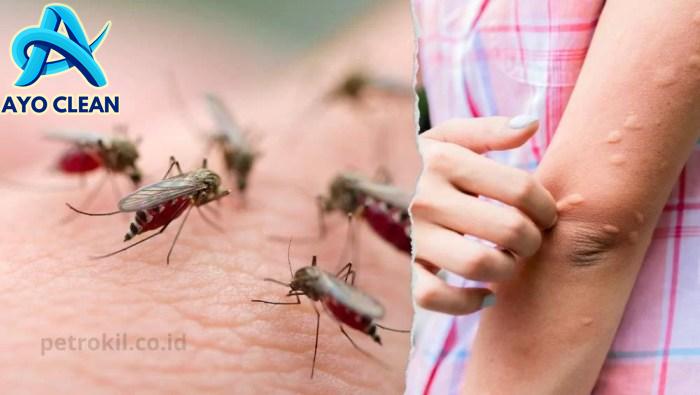 Ikuti 7 Cara Mencegah Nyamuk Ini Yang Terbukti Efektif – Jasa Anti ...
