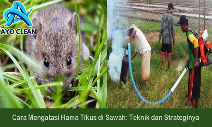 Bahaya Sampai Terpleset, Begini Cara Bersihkan Lantai Berlumut dan ...