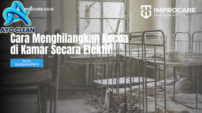 9 Cara Menghilangkan Kecoa di Kamar, Ampuh! – bTaskee