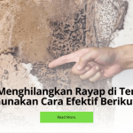 Cara menghilangkan rayap di lantai