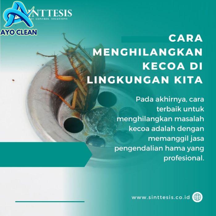 Cara Menghilangkan Kecoa Kecil Di Mobil - Menghilangkan Masalah