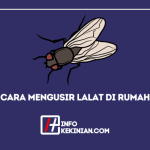 Cara Membasmi Nyamuk di Kamar dengan Cepat dan Aman