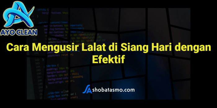 Cara Mengusir Lalat di Siang Hari dengan Efektif