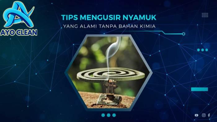 Cara ampuh mengusir nyamuk