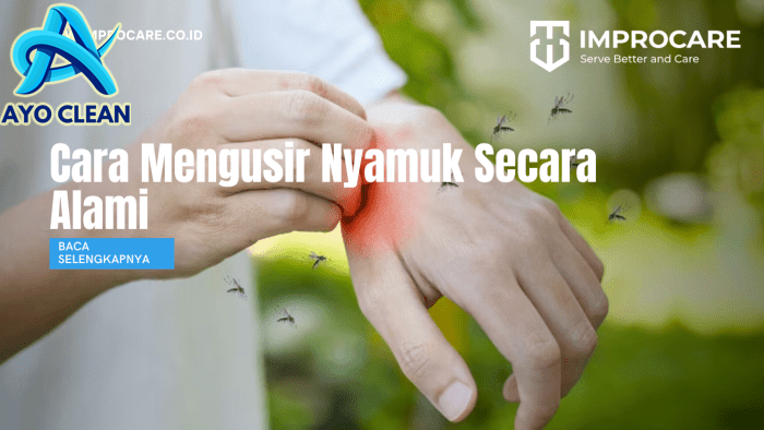 Bagaimana Cara Mengusir Nyamuk Secara Alami? - PT Mahaka Improcare ...
