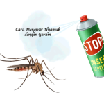 Ternyata Begini Cara Mengusir Nyamuk dengan Garam - KeKei