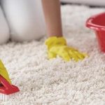 Cara Merawat Karpet Agar Tidak Mudah Lembab dan Berdebu | Asri.land