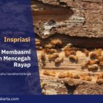 10 Cara Membasmi Rayap hingga 98% - Toko Lantai Kayu terlengkap di Jakarta