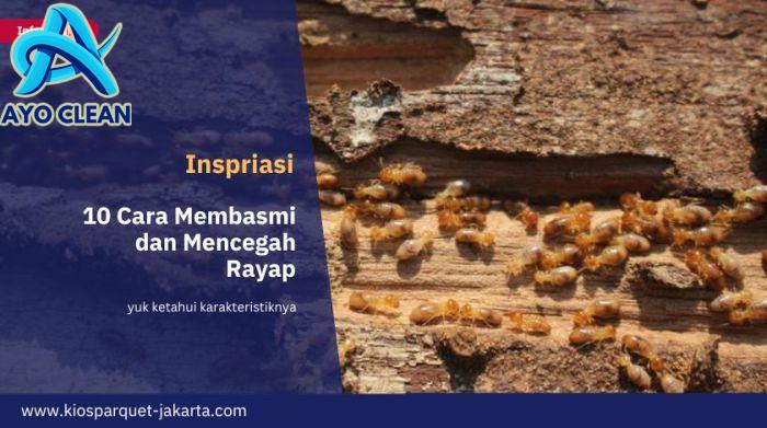10 Cara Membasmi Rayap hingga 98% - Toko Lantai Kayu terlengkap di Jakarta