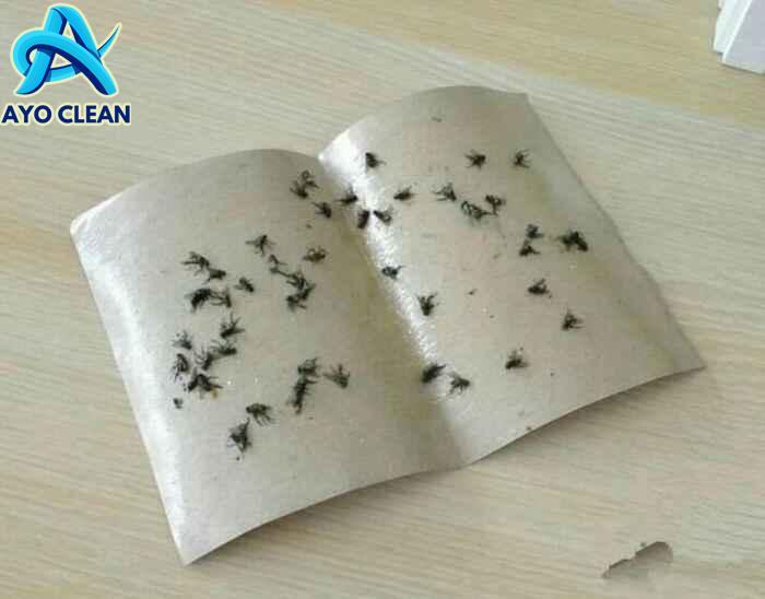 Cara mengusir lalat di ruangan terbuka
