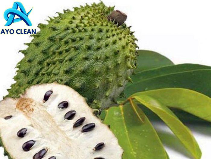 Cara Membuat Ramuan Daun Sirsak Untuk Kelenjar Getah Bening - Klinik ...