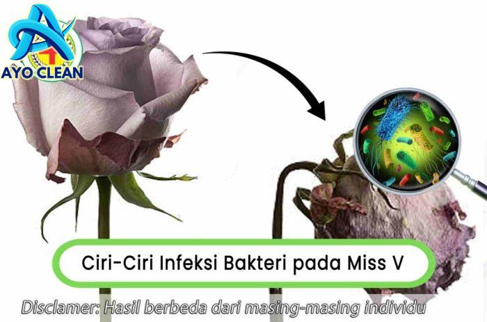 Inilah Ciri Infeksi Bakteri pada Miss V yang Harus Diwaspadai | Klinik ...