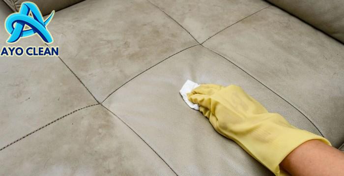 How to Clean Mold From Leather - An Easy Step-by-Step
