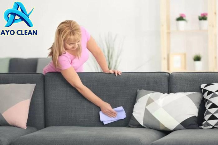 How To Clean a Fabric Couch and Sofa — Pro Housekeepers