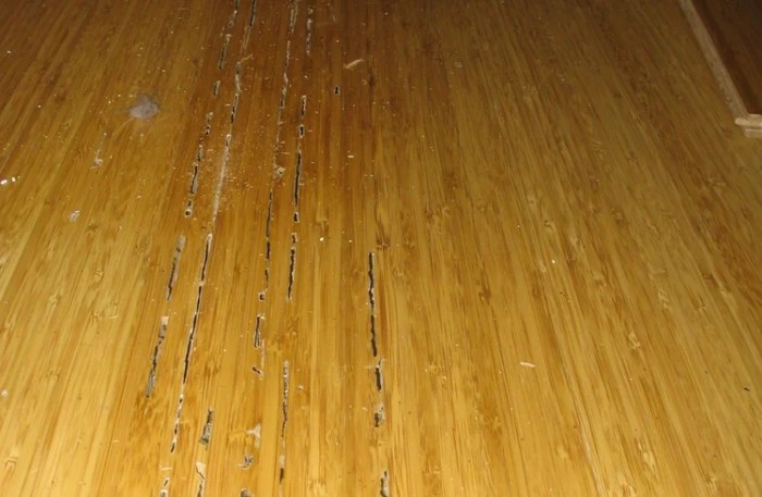 Cara Menghilangkan Rayap di Lantai Sampai Tak Bersisa | SuntikRayap.com