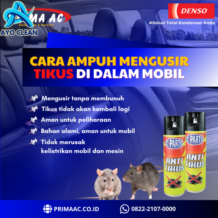 Tips Supaya Mesin Mobil Tidak Jadi Sarang Tikus | Cara Mengusir Tikus ...