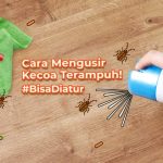Tips Ampuh Mengusir Kecoa Dari Rumah Pakai Bahan Dapur