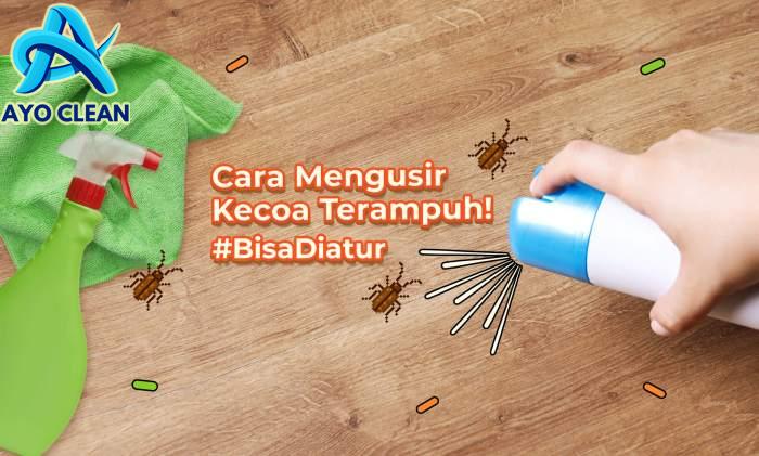 Coba! 31 Tips dan Cara Mengusir Kecoa Paling Ampuh