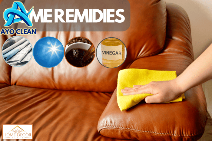How To Get Smell Out Of A Leather Couch Home Decor Bliss