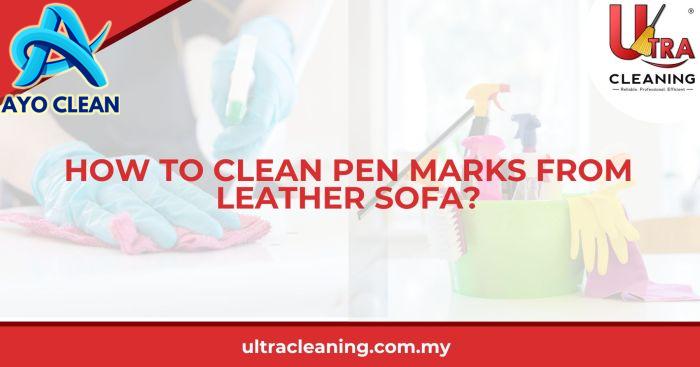 How To Remove Ball Pen Stains From Leather Sofa | Baci Living Room
