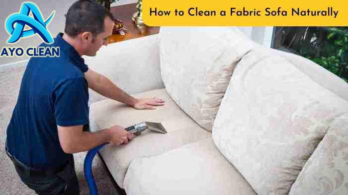How to clean a fabric sofa naturally diy upholstery cleaning solutions ...