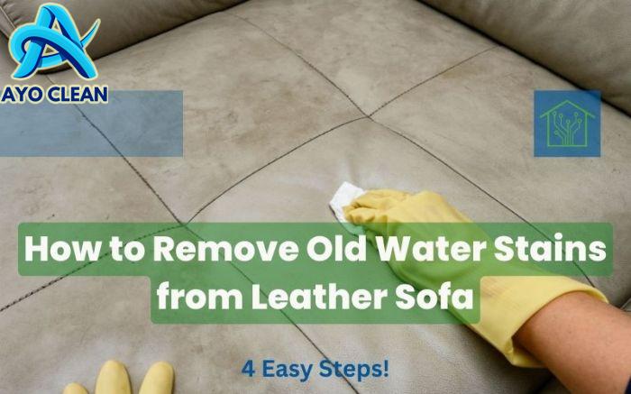 How To Remove Old Water Stains From Leather Sofa: 4 Easy Steps!