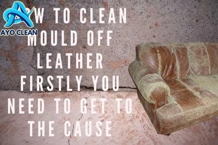 Cara membersihkan sofa kulit yang berjamur