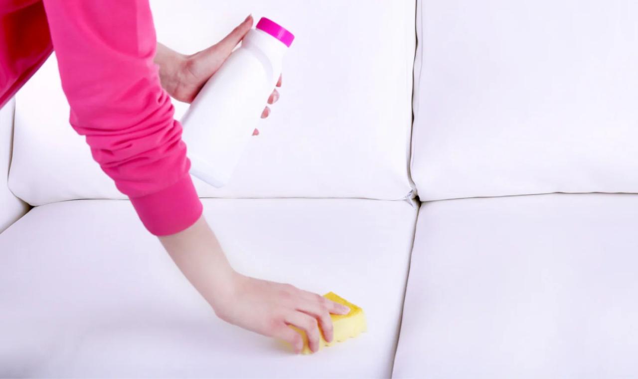 How to Clean a Fabric Sofa Naturally ? | Busy Bucket Services